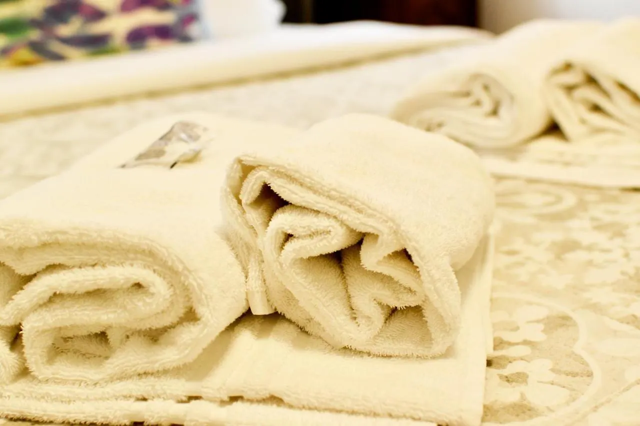 B&B Maggiore 58 Bologna