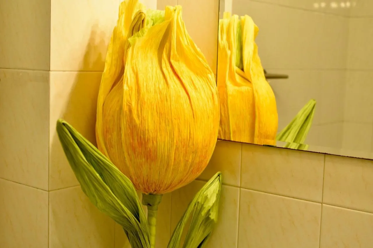 B&B Maggiore 58 Bologna Italy